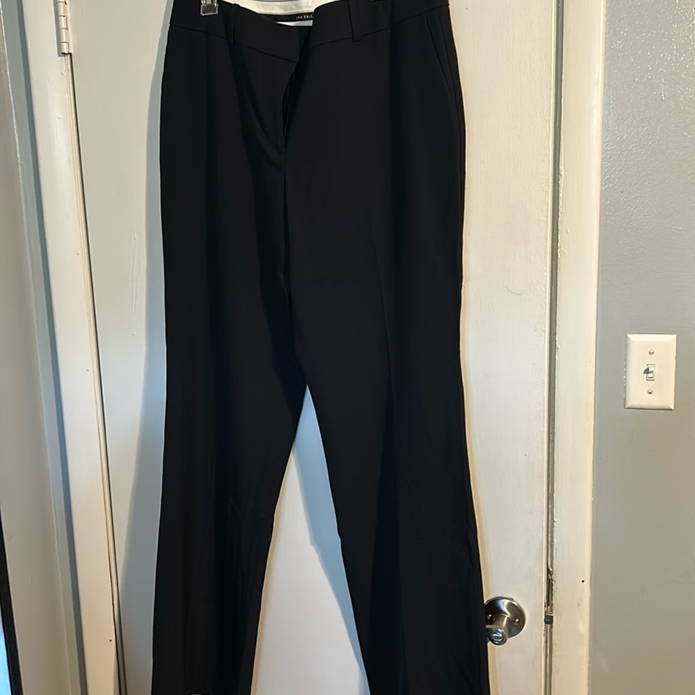 Ann Taylor Brand New Curvy Fit Trouser Leg